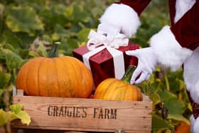 Help Santa save Christmas during an adventure at Craigie's Farm.