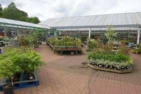 Garden centres have become somewhere to buy more than plants - although there are always plenty of offer. Pic: Michael Gillen