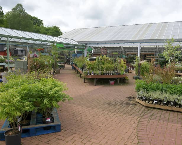 Garden centres have become somewhere to buy more than plants - although there are always plenty of offer. Pic: Michael Gillen