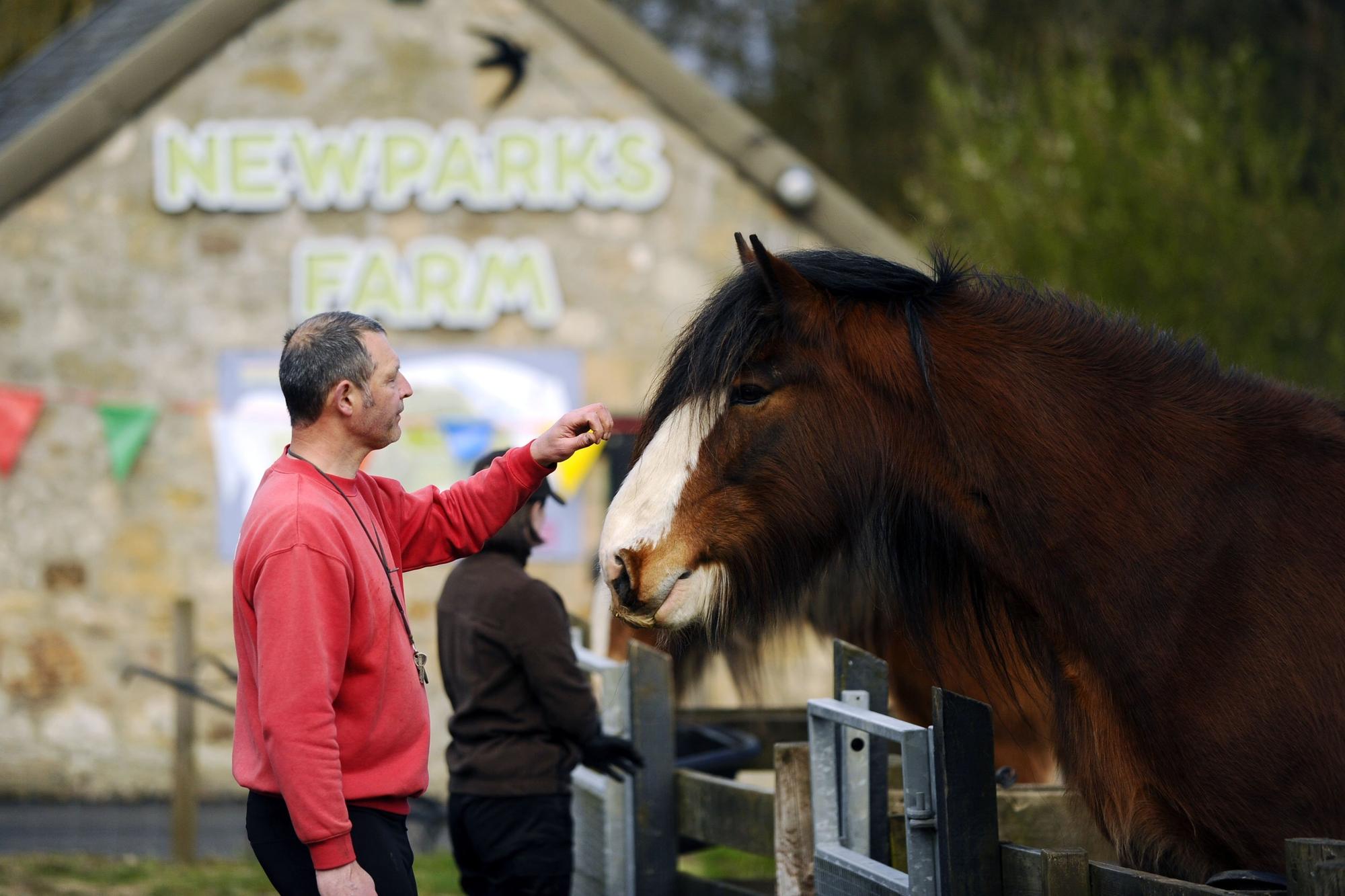 Parking charges to rise at Muiravonside Country Park as investment brings more visitors to attraction - Vimarsana News