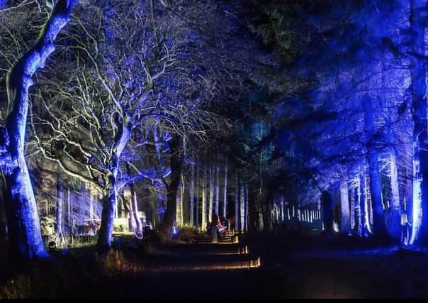 The Beecraigs Festive Forest proved popular in 2019 and organisers hope to be back this year.
