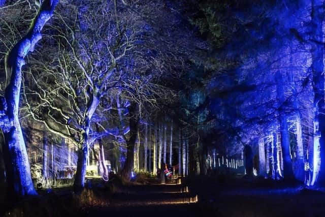 The Beecraigs Festive Forest attraction held just outside Linlithgow at Beecraigs Country Park. 
