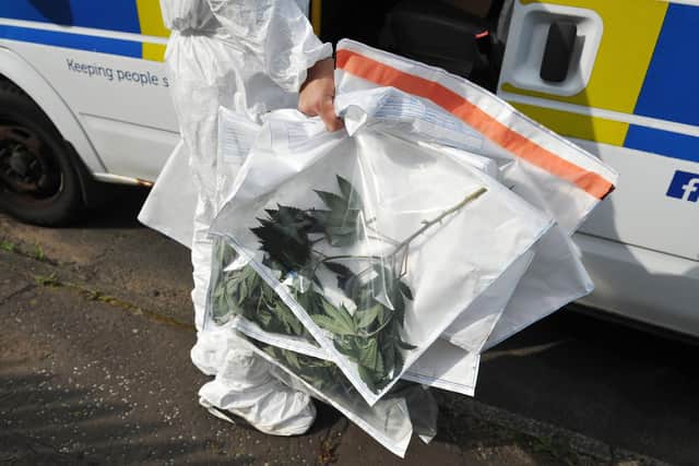 Police recovered the cannabis plants from Cranstoun's bedroom