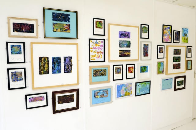 The art on display has been created by adults attending classes at the centre in Larbert.