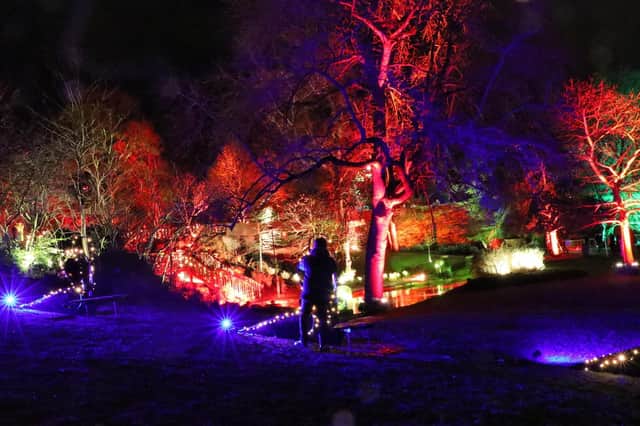 The Wondrous Woods event is planned to take place at Hopetoun in October and November. Pic: 21CC Group