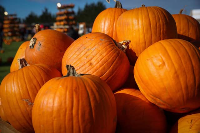 Kinneil Estate in Bo'ness will be hosting different Halloween-themed events on Saturday, October 31. Whether your looking for an artsy day out or a spooky encounter, these free events have got you covered. (Alex Shute).
