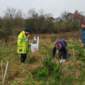 Stock photo of Burgh Beautiful Linlithgow volunteers planting trees west of Linlithgow Leisure Centre last year.