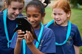 Scouts Cyber Skills