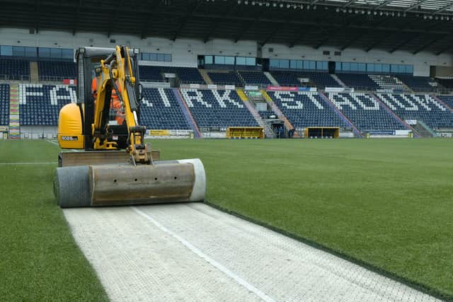 Replacing Falkirk's plastic pitch could be on the cards if the Bairns managed a double promotion (Photo: Michael Gillen)
