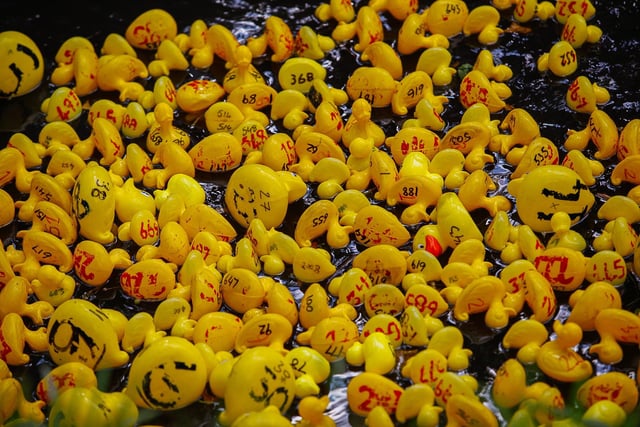 Can you spot your duck?