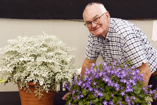 Sandy Innes with two of his many first prizes, a Pot Plant Foliage and a Pot Plant Flowering. (Pic: Alan Murray)
