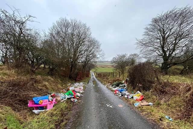 More evidence of fly-tipping on country roads. Pic: Contributed