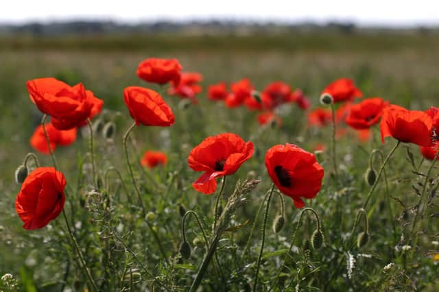 People across Scotland will observe a two minute 'doorstep' silence at 11am in remembrance.