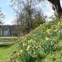 Councillors agreed to the proposed 10-year plan for Callendar Park. Pic: Contributed