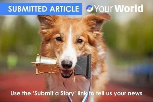 User (UGC) Submitted