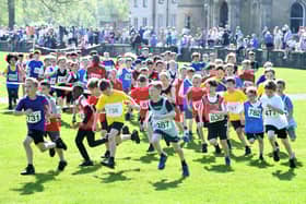 P5 youngsters in action