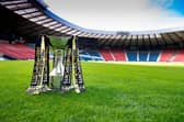 The Premier Sports Cup draw has been made - with Falkirk being paired with Stenhousmuir (Photo: SNS Group)