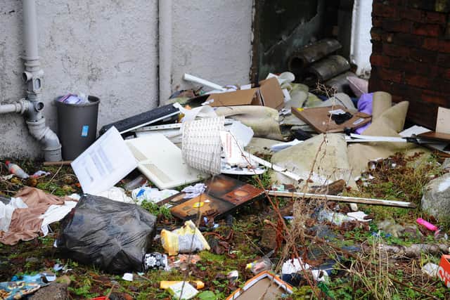 Much of the Falkirk Council pest control service's time in the last year has been spent responding to reports of rat infestations at properties, with discarded rubbish one of the main causes. Picture: Michael Gillen.