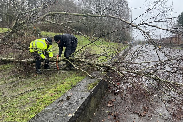 Two police officers use a hacksaw to remove a fallen tree in Callendar Road, Falkirk.