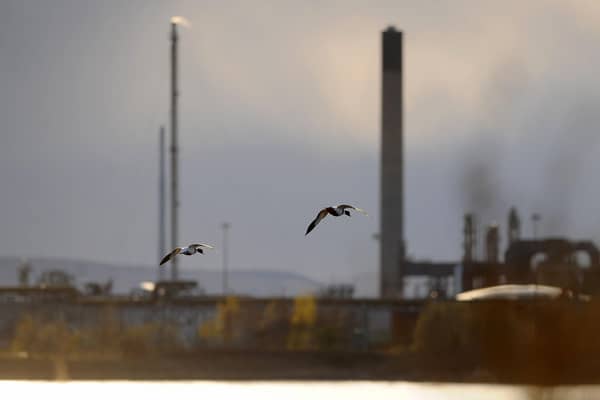 Kinneil Lagoons looking towards Ineos. (Pic: Michael Gillen)