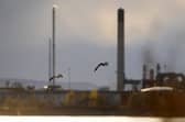 Kinneil Lagoons looking towards Ineos. (Pic: Michael Gillen)
