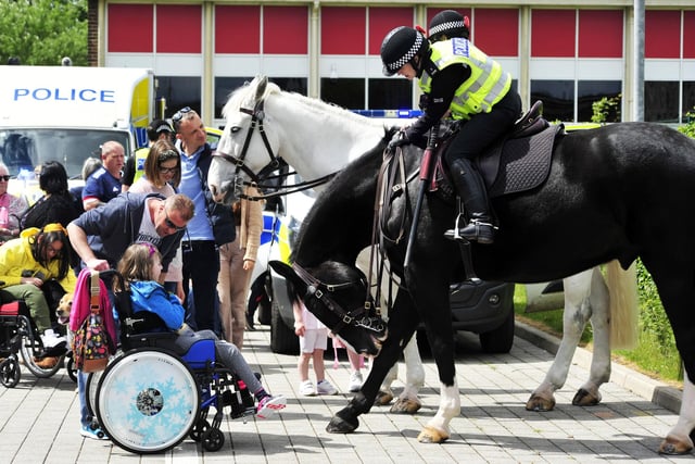 Nice to meet you ... getting acquainted with Police Scotland's mounted officers.