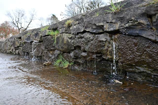 Water pours through the wall at Blinkbonny Park onto Gartcows Road. Pic: Michael Gillen