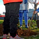 Young people are being urged to take part in Just One Tree Day later this year