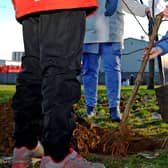 Young people are being urged to take part in Just One Tree Day later this year