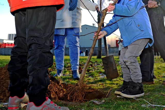 Young people are being urged to take part in Just One Tree Day later this year