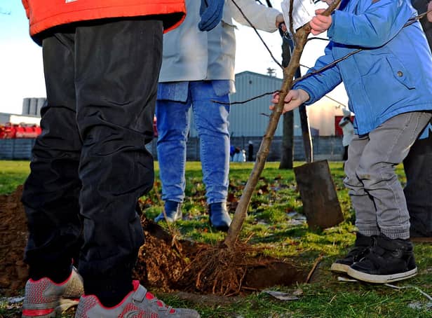 Young people are being urged to take part in Just One Tree Day later this year