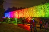 Christmas at the Botanic 2023

Rainbow Hedge is a towering  showstopper at Christmas at the Botanics 2023. Photo by Phil Wilkinson/Christmas at the Botanics