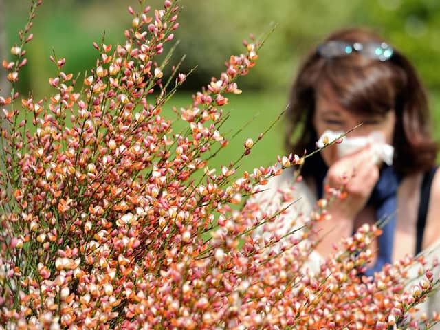 A woman blows her nose as the return of pleasant weather marks the arrival of allergenic pollen