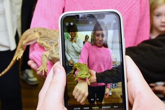 Some youngsters were not quite sure about the bearded dragon - but he was a friendly wee fella 
(Picture: Michael Gillen, National World)