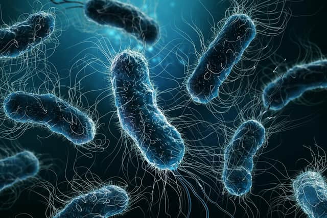 Falkirk Council's procedures for testing for legionella were previously deemed "unacceptable". Pic: Adobe stock