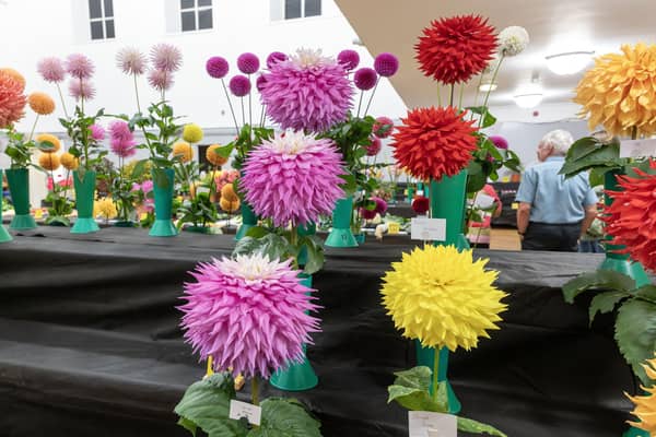 Grangemouth Town Hall was filled with colourful cultivations