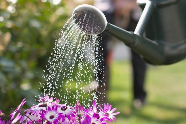 We are all being encouraged to save water, including by not watering our gardens, after a long, dry spell. Pic: Scottish Water