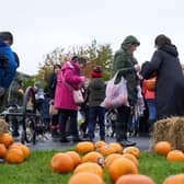 The now annual Pumpkins in the Park event took place in Grangemouth's Inchyra Park on Sunday.  (Pic: Sonja Blietschau)