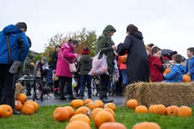 The now annual Pumpkins in the Park event took place in Grangemouth's Inchyra Park on Sunday.  (Pic: Sonja Blietschau)