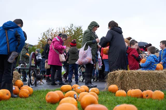The now annual Pumpkins in the Park event took place in Grangemouth's Inchyra Park on Sunday. (Pic: Sonja Blietschau)