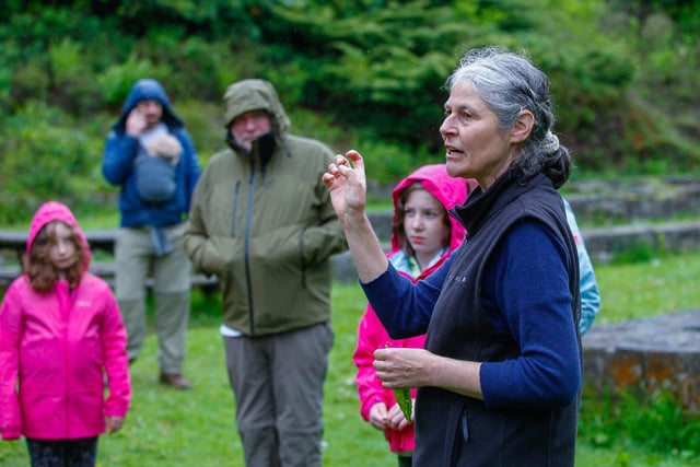 The foraging sessions took place throughout the day.