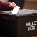 The Bowhouse Primary 'election' takes place on Thursday
(Picture: Submitted)