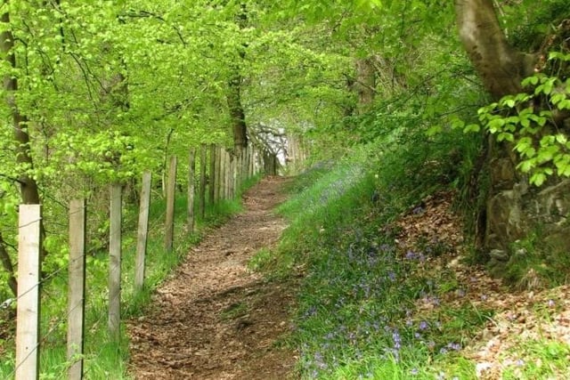 Carron Glen begins at Gala Park in Dunipace and heads up the glen, following the Carron to Fankerton. A steep gorge walk, with waterfalls and pools, full of wildflowers in spring. It's also a brilliant place to see bluebells. Picture: Falkirk Council Ranger Service.