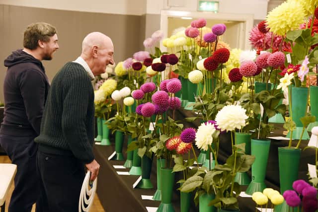A colourful display of entries.