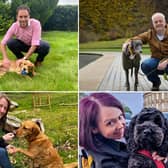 Who will triumph in this year's Holyrood Dog of the Year competition?