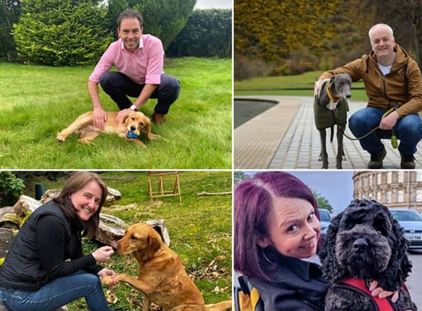 Who will triumph in this year's Holyrood Dog of the Year competition?