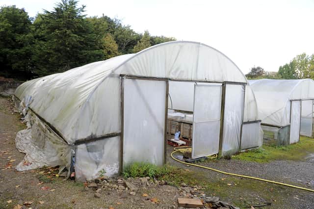 Stock picture Michael Gillen. Kinneil Estate's walled garden.