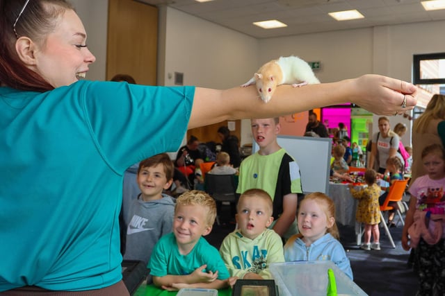 In pictures: Everyone enjoying Denny Library Community Day