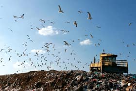 The study looked at how much waste had gone to landfill over the last three years