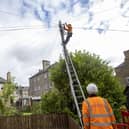 Faster broadband will be winging its way to areas of Falkirk
(Picture: Submitted)